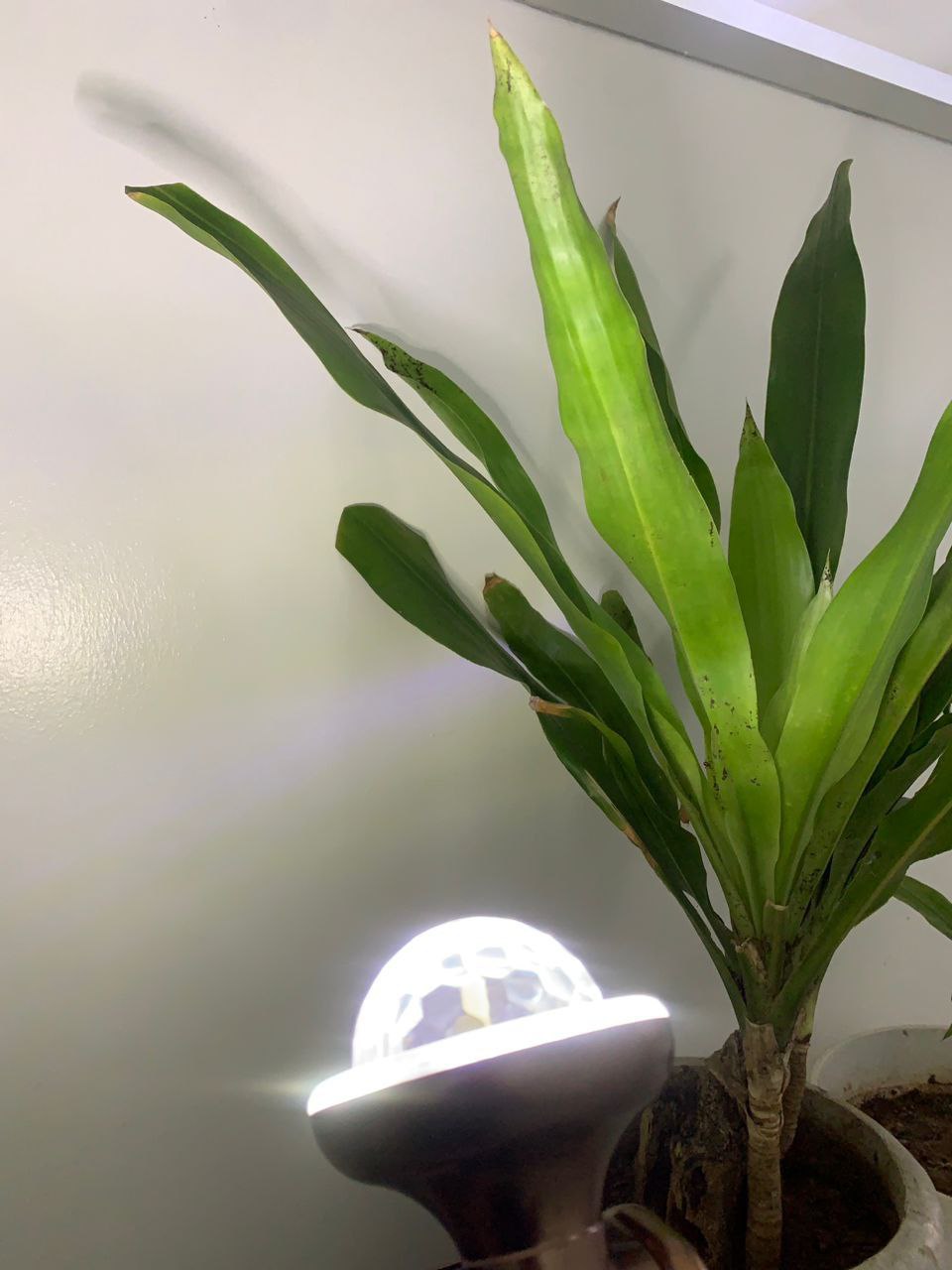 photo_2025-02-03_13-08-41 (4)